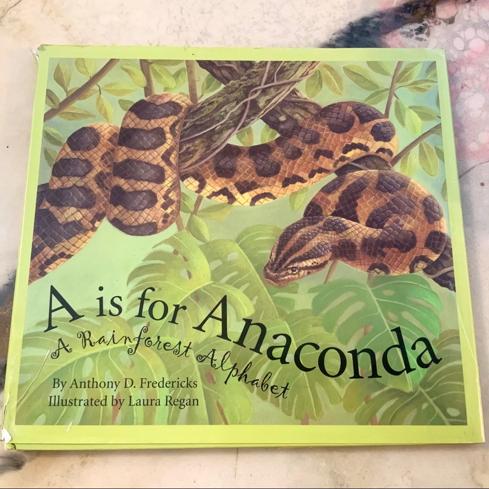 A IS FOR ANACONDA - RAINFOREST ALPHABET child’s book